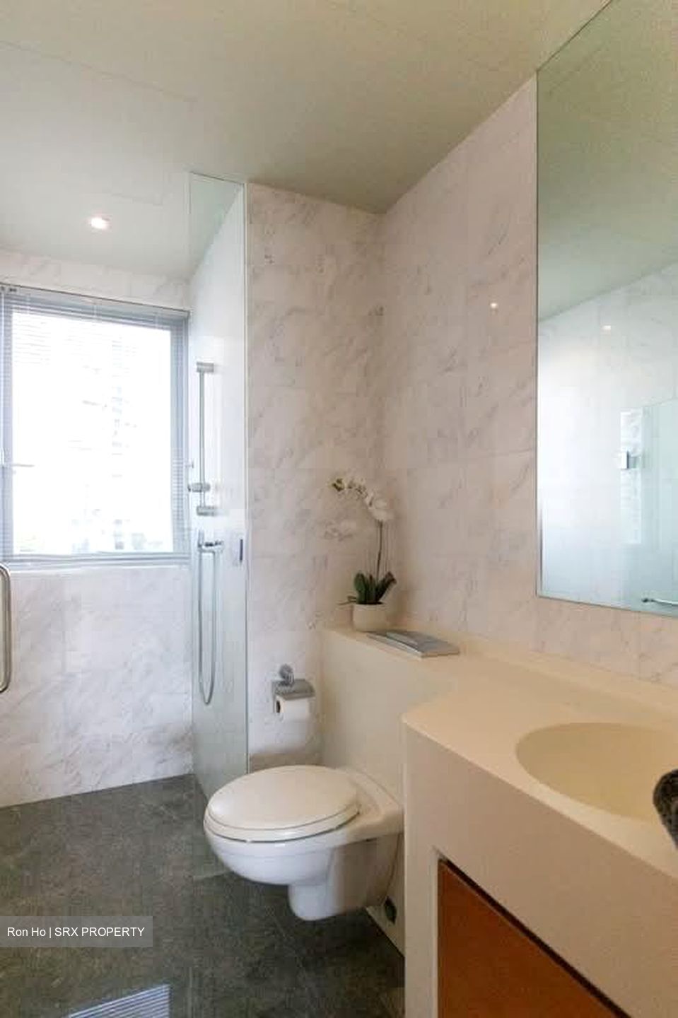Draycott Eight (D10), Condominium #556751081